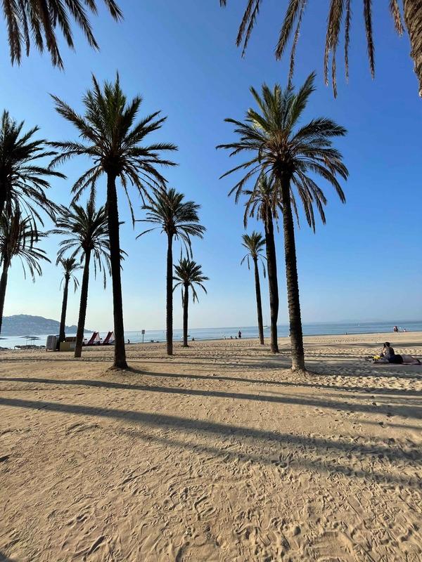 playa de roses kayak sup roses